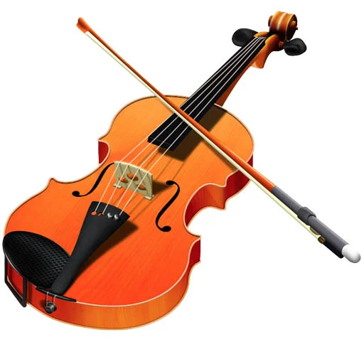 Violin music teacher – beginners