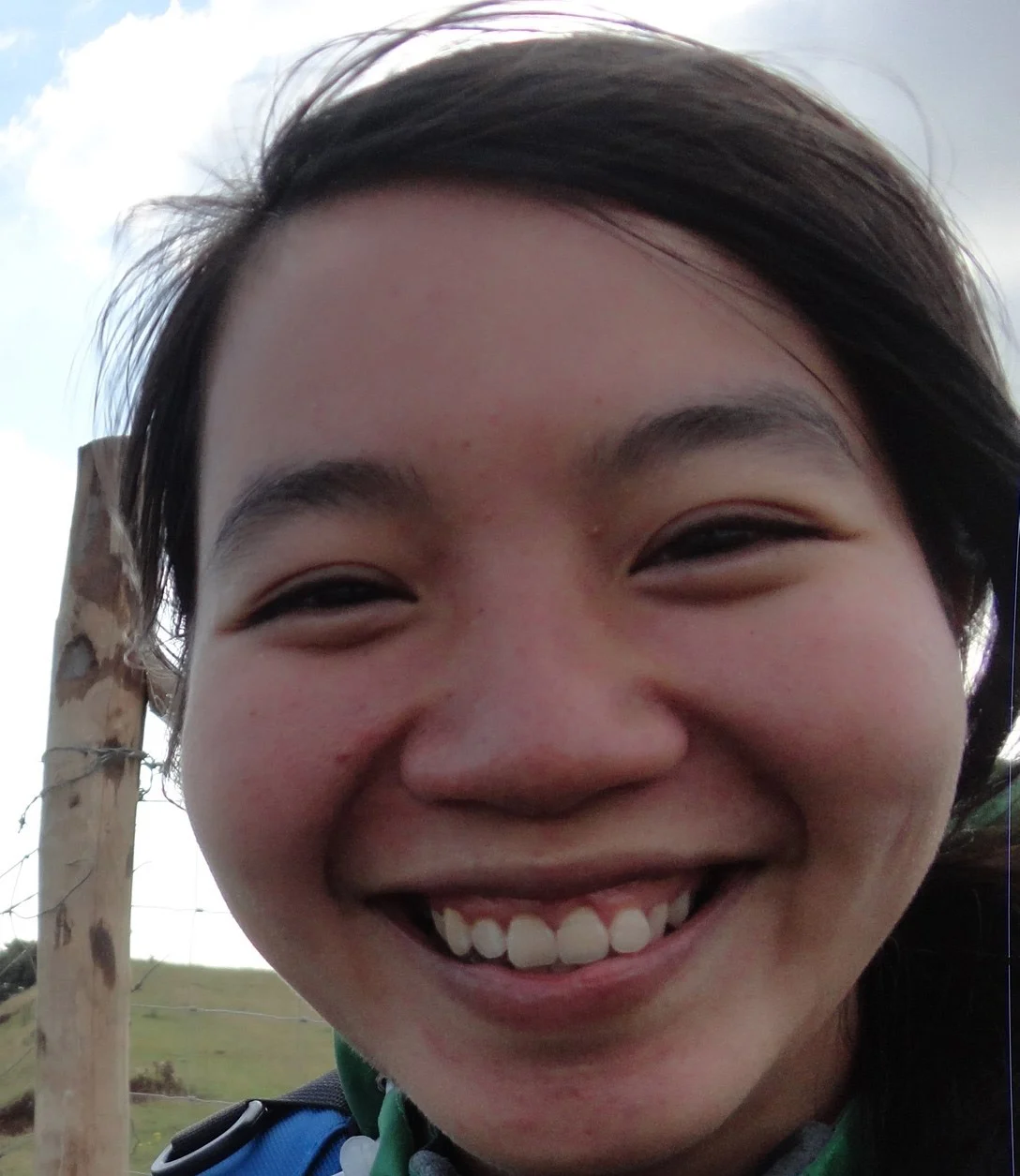Experienced Vietnamese teacher